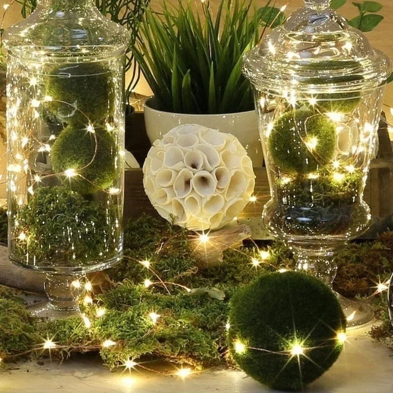 Twinkle Fairy Lights