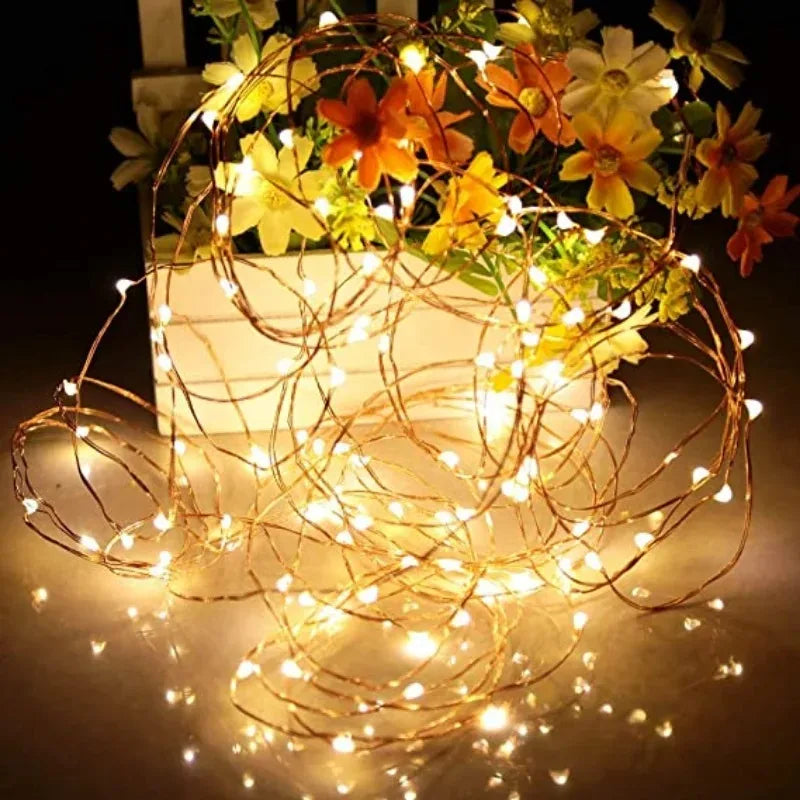 Twinkle Fairy Lights
